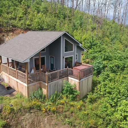 Love Nest Chalet Villa Гетлинбург Екстериор снимка