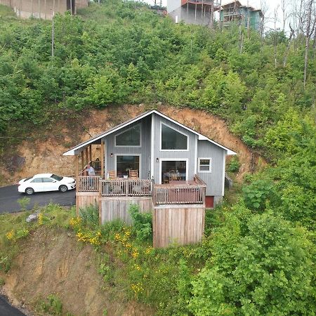 Love Nest Chalet Villa Гетлинбург Екстериор снимка