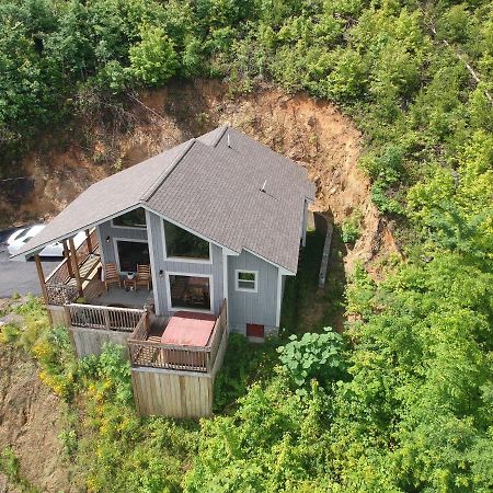 Love Nest Chalet Villa Гетлинбург Екстериор снимка